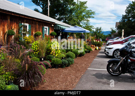 New Hampshire, Meridith, Moulton Farm, giardino, fattorie, verdura, fiori, piante, zucche, squash, farmstand, farm stand, Foto Stock