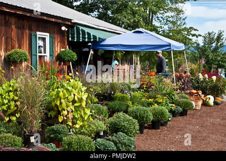 New Hampshire, Meridith, Moulton Farm, giardino, fattorie, verdura, fiori, piante, zucche, squash, farmstand, farm stand, Foto Stock