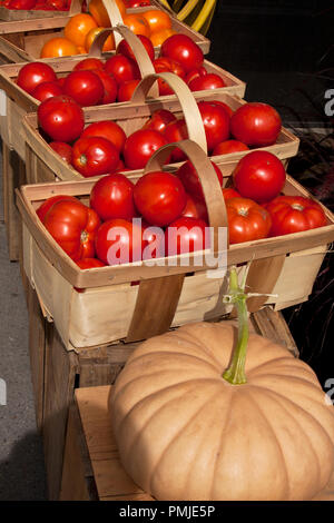 New Hampshire, Meridith, Moulton Farm, giardino, fattorie, verdura, fiori, piante, zucche, squash, farmstand, farm stand, Foto Stock