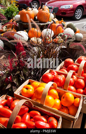 New Hampshire, Meridith, Moulton Farm, giardino, fattorie, verdura, fiori, piante, zucche, squash, farmstand, farm stand, Foto Stock