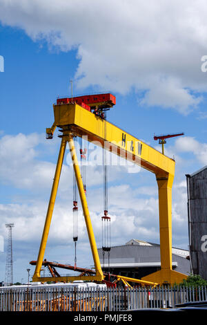 Uno dei famosi giallo Harland e Wolff gru del cantiere navale del Titanic Quarter di Belfast, Irlanda del Nord Foto Stock