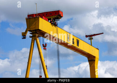 Uno dei famosi giallo Harland e Wolff gru del cantiere navale del Titanic Quarter di Belfast, Irlanda del Nord Foto Stock