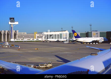 Lufthansa (LH) velivoli sono allineati all'aeroporto di Francoforte (FRA), l'aeroporto più trafficato in Germania e di un hub principale per la compagnia aerea tedesca. Foto Stock