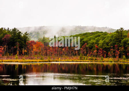 Autunno Pond   Norfolk, Connecticut, Stati Uniti d'America Foto Stock