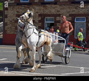 Due viaggiatori di Zingaro a cavallo di due cavalli carrello di trotto. Appleby Horse Fair 2018. Il Sands, Appleby-in-Westmoreland, Cumbria, Inghilterra, Regno Unito. Foto Stock