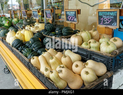 Varietà di squash per la vendita al di fuori di un negozio di alimentari su Main Street a Vancouver, BC, Canada Foto Stock