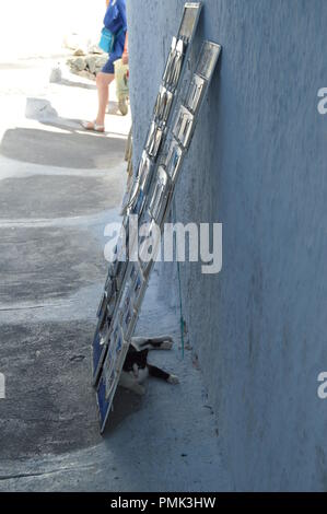 Magnifico colpo di un Rifugiato Cat dietro un espositore di cartoline da un negozio di Souvenir In Pyrgos Kallistis sull isola di Santorini. Viaggiare, Crociera Foto Stock