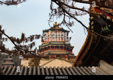 Pechino, Cina - Dic 25, 2017: nuovo palazzo estivo di Pechino incorniciato con brunch e gli edifici al tramonto Foto Stock