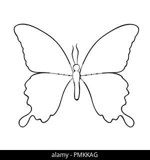 Butterfly disegno della linea isolata su uno sfondo bianco illustrazione vettoriale EPS10 Illustrazione Vettoriale