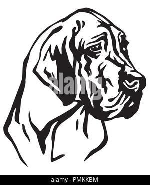 Ritratto decorativo di cane Alano, vettore isolato illustrazione in colore nero su sfondo bianco Illustrazione Vettoriale