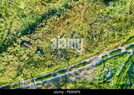 La caduta di alberi in prossimità di una strada sterrata di Kursk Regione della Russia Foto Stock