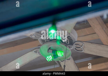 Ventilatore da soffitto decorato per il giorno di San Patrizio su Parade Magazine Street a New Orleans Foto Stock