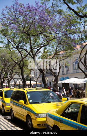 Giallo taxi in attesa lungo un viola Jacaranda strada alberata in Madeira capitale Funchal Foto Stock