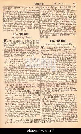 Biblia Fjellstedt II (1890) 091. Foto Stock