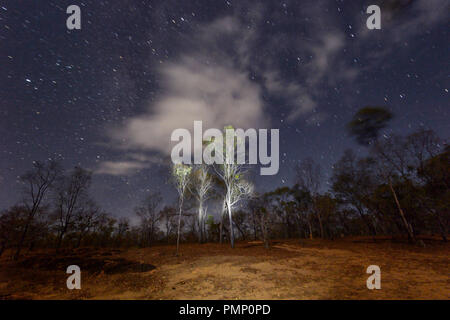 Cielo notturno su Emu Creek, vicino Petford del Queensland del Nord, QLD, Australia Foto Stock