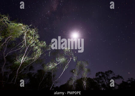 Cielo notturno su Emu Creek, vicino Petford del Queensland del Nord, QLD, Australia Foto Stock