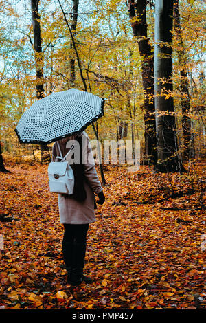 Femmina con rotazione ombrello bianco nell'autunnale dorata sentiero forestale Foto Stock