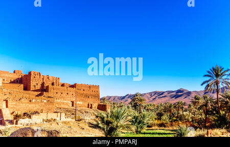 Vista sulla Kasbah Caids e palm agrden accanto a Tamnougalt nella Valle di Draa - Marocco Foto Stock