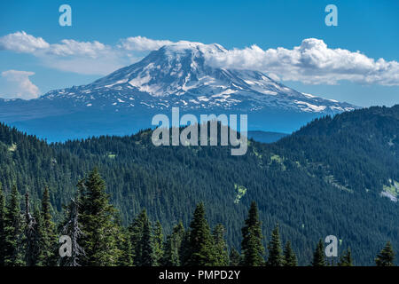 Montare Adam vista dal Pacific Crest Trail, Washington Foto Stock