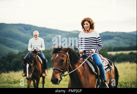 Una coppia senior a cavallo nella natura. Foto Stock