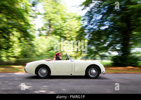 Il sessantesimo anno di Austin Healey Sprite è stata celebrata dal Midget e Sprite Club con un Spridget 60 weekend a Wroxall Abbey vicino a Warwick, Foto Stock