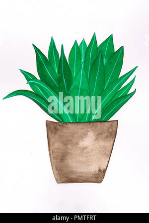 Bella mano vernice agave - pianta di casa in un marrone vaso di fiori di colore bianco con linee di gel Foto Stock
