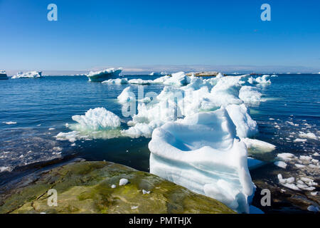 Iceberg da Ilulissat icebergs galleggiante offshore nella baia di Disko in estate. Ilulissat Tourist Nature (Jakobshavn), Qaasuitsup, Groenlandia Foto Stock