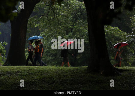 Quezon City, Filippine. Xix Sep, 2018. Le persone utilizzano i loro ombrelloni come si cammina attraverso la pioggia a Quezon City, Filippine, Sett. 19, 2018. Credito: Rouelle Umali/Xinhua/Alamy Live News Foto Stock