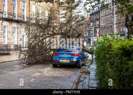 Edinburgh, Regno Unito. 19 settembre 2018. Tempesta Ali arriva a Edimburgo, Scozia, con venti in eccesso di 60mph causando danni alla proprietà e interruzioni dei viaggi e delle imprese. Questa vettura è stata schiacciata da un albero in caduta in Coates Crescent nel centro della citta'. Credito: Andy Catlin/Alamy Live News Foto Stock