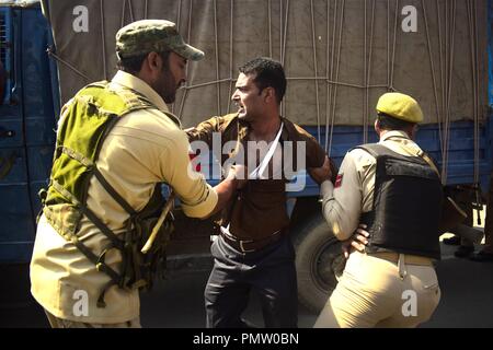 Srinagar Kashmir, . Xix Sep, 2018. n poliziotti detenere Kashmir mourner sciita a Srinagar, n-Administered-Kashmir il 19 settembre, 2018. Coprifuoco-simili restrizioni imposte in città per impedire alla gente di prelievo di Muharram processione per contrassegnare l'ottavo giorno di Muharram. Severi ordini di divieto ai sensi della sezione 144 sono stati anche istituiti in diversi settori. (Credito Immagine: © Sanna Irshad MattooZUMA filo) Credito: ZUMA Press, Inc./Alamy Live News Foto Stock