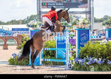 Tryon, California, Stati Uniti d'America. Xix Sett 2018. Andrea Herck. Idarquithago. ROU. Jumping. Singoli e Team del campionato. Giorno 8. Giochi equestri mondiali. WEG 2018 Tryon. Carolina del Nord. Stati Uniti d'America. 19/09/2018. Credito: Sport In immagini/Alamy Live News Foto Stock