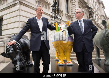 Ambiente segretario Michael Gove (destra) e Zac Goldsmith con il brosmio fiducia rhino statue d'arte al di fuori del Foreign Office di Londra, precedendo il traffico illegale di fauna selvatica Trade Conference. Foto Stock