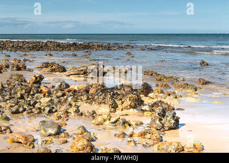 Pennelli in legno e revetments, fatiscente sulla West Runton Beach, North Norfolk. Foto Stock