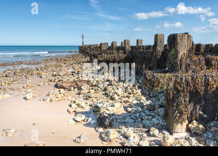 Pennelli in legno e revetments, fatiscente sulla West Runton Beach, North Norfolk. Foto Stock