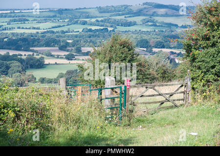 Vista la struttura Meon Valley, Hampshire dal vecchio Winchester Hill Riserva Naturale Nazionale Foto Stock