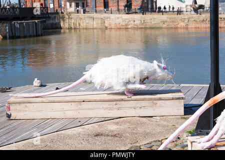 Liverpool Canning Dock navi Cat e Super dettaglio di ratto moderna arte contemporanea dalla fede Bebbington leggenda di Ms Chibley 1000 utilizzati contenitori di latte Foto Stock