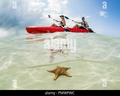 Giovane kayak sull oceano a Stella Marina Beach, Grand Cayman, Isole Cayman Foto Stock