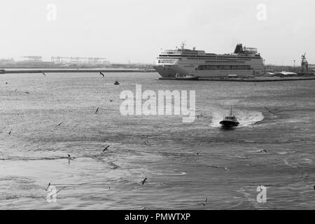 Una barca pilota accompagnatrici di una nave da crociera (non in foto) in mare con un'altra nave di crociera in background. I gabbiani swirl sopra l'acqua disturbata. Foto Stock