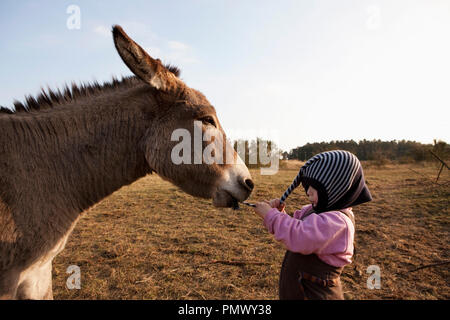 Donkey tirando hat sulla cute girl Foto Stock