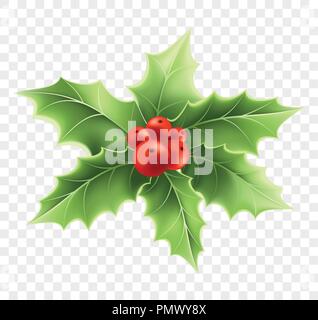 Natale holly ramo illustrazione realistica Illustrazione Vettoriale