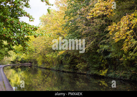 Regent's Canal a Londra cercando tranquilla con alberi e foglie di autunno colori riflessi nell'acqua Foto Stock