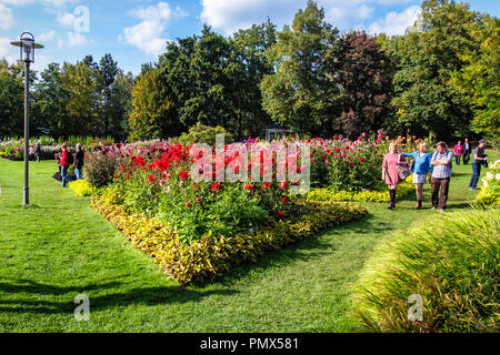 Berlin Neukölln, Britzer giardino Dahlia annuale flower show, Dahlienfeuer, persone ammirano visualizza delle Dalie in letti colorati Foto Stock