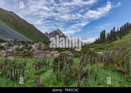 Ala-Kol Trek che si discosta in Karabel-Tor montagne che eruttano a sud-est del paese al di là di Karakol in Kirghizistan del lontano oriente. Foto Stock