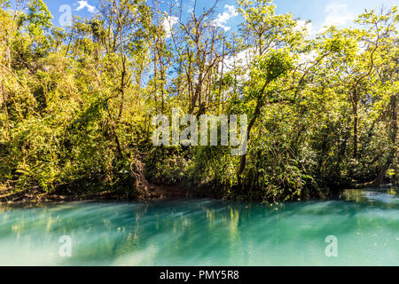 Una tipica vista in Costa Rica Foto Stock