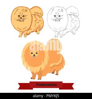Cane di Pomerania isolati su sfondo bianco. Lo zenzero pomerania spitz cane in disegnati a mano e gli stili di piatto. Illustrazione Vettoriale