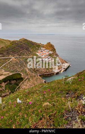 Isole Berlengas, Portogallo - 21 Maggio 2018: vista da sopra al Bairro dos isole Pescadores, il piccolo villaggio di pescatori di Foto Stock