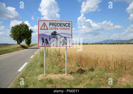 Il traffico di segnalazione segno avverte di gruppi di turisti davanti a fotografare i campi di lavanda sull'altopiano di Valensole Alpes-de-Haute-Provence Francia Foto Stock