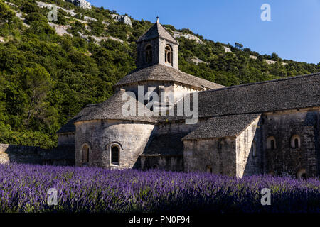 Storica Abbazia di Senanque e fioritura fiori di lavanda, Gordes, Luberon, Provenza Foto Stock