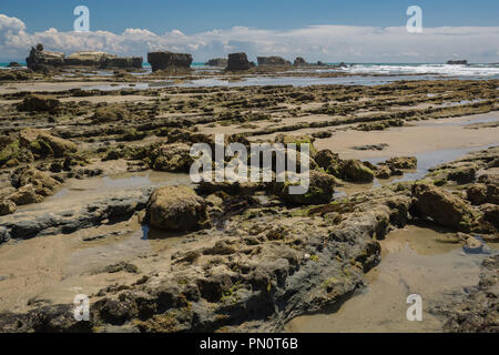 Le creste rocciose marzo verso il mare e la gannett area di nidificazione sulla scogliera nera a Cape rapitori il Hawkes Bay in Nuova Zelanda. Foto Stock