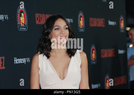 Rosario Dawson alla premiere del film Pantelion e partecipante Media 'Cesar Chavez'. Gli arrivi presso la TCL Teatro Cinese a Hollywood, CA, 20 marzo 2014. Foto di Joe Martinez / PictureLux Foto Stock